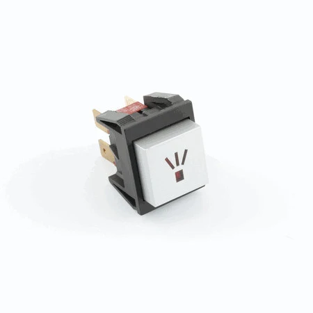 Silver Steam Bipolar Switch (Special Order)
