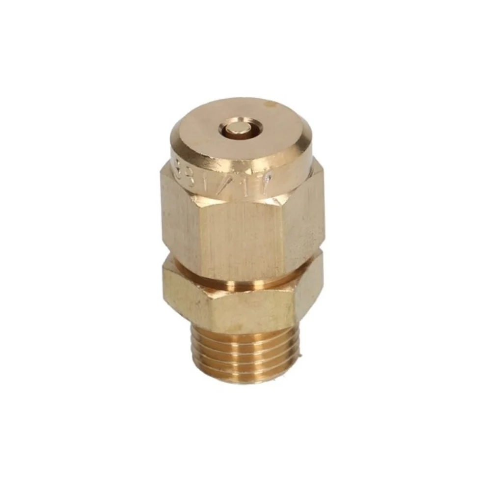 1/4" Brass Anti-Vacuum Valve