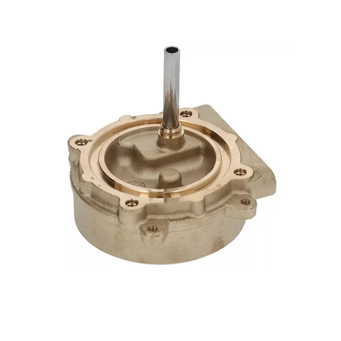 Gaggia Brass Group Body