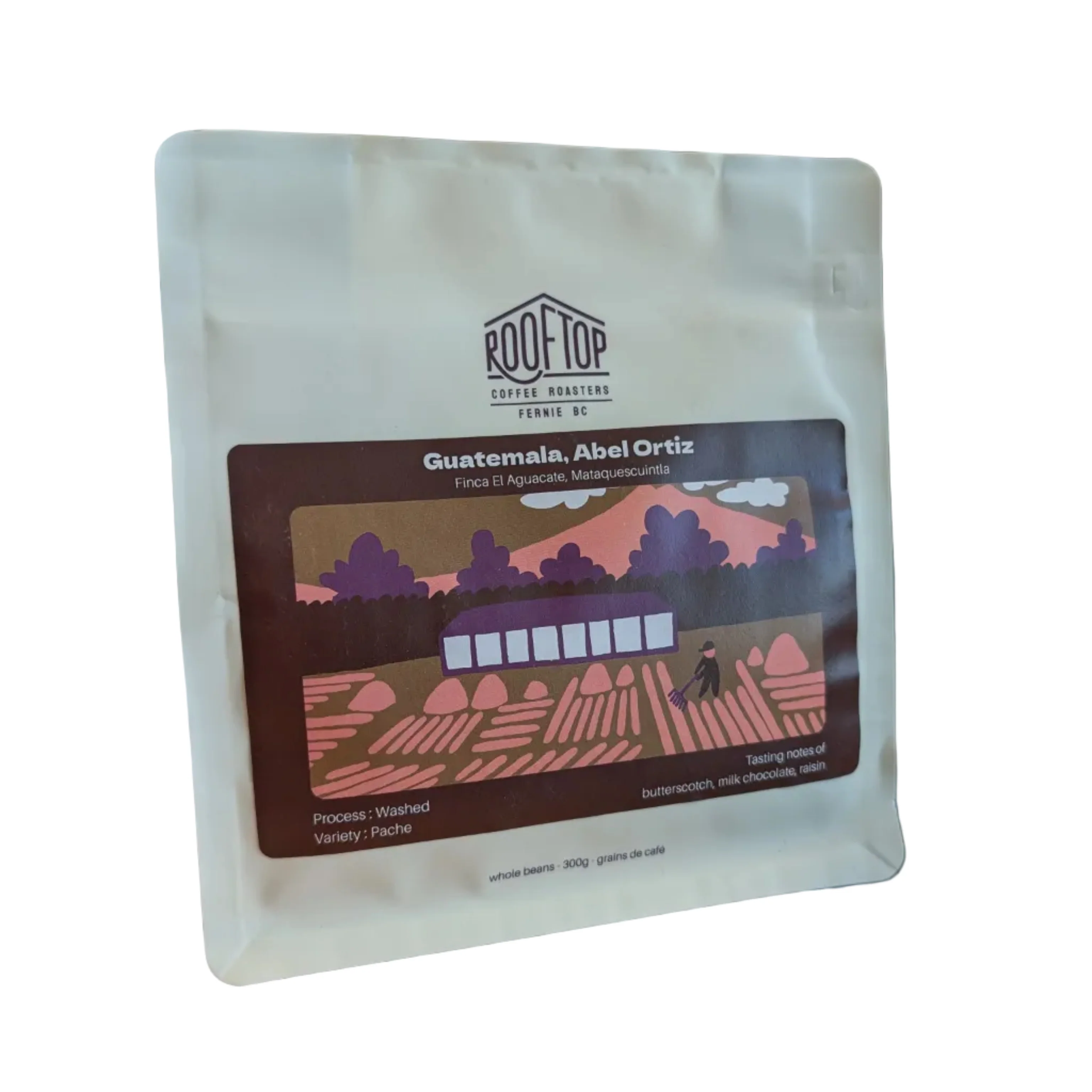 Rooftop Coffee Roasters Rooftop - Guatemala - Abel Ortiz Coffee Beans