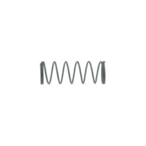 Rancilio Expansion Valve Spring — SKU SKU02958-000-794605