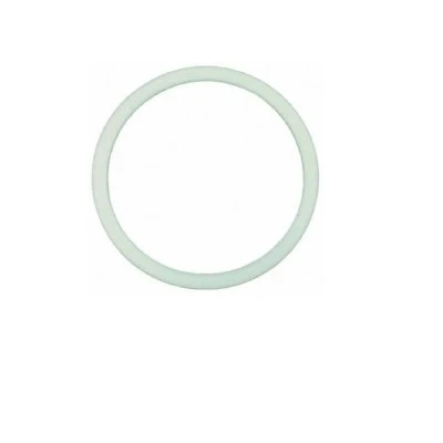PTFE Gasket (36x30x2mm)