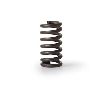 Fiorenzato Grind Adjustment Collar Spring