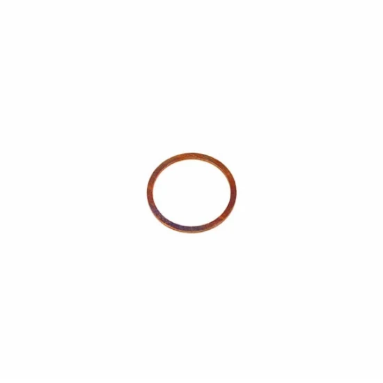 Steam/Water Valve Body Copper Gasket
