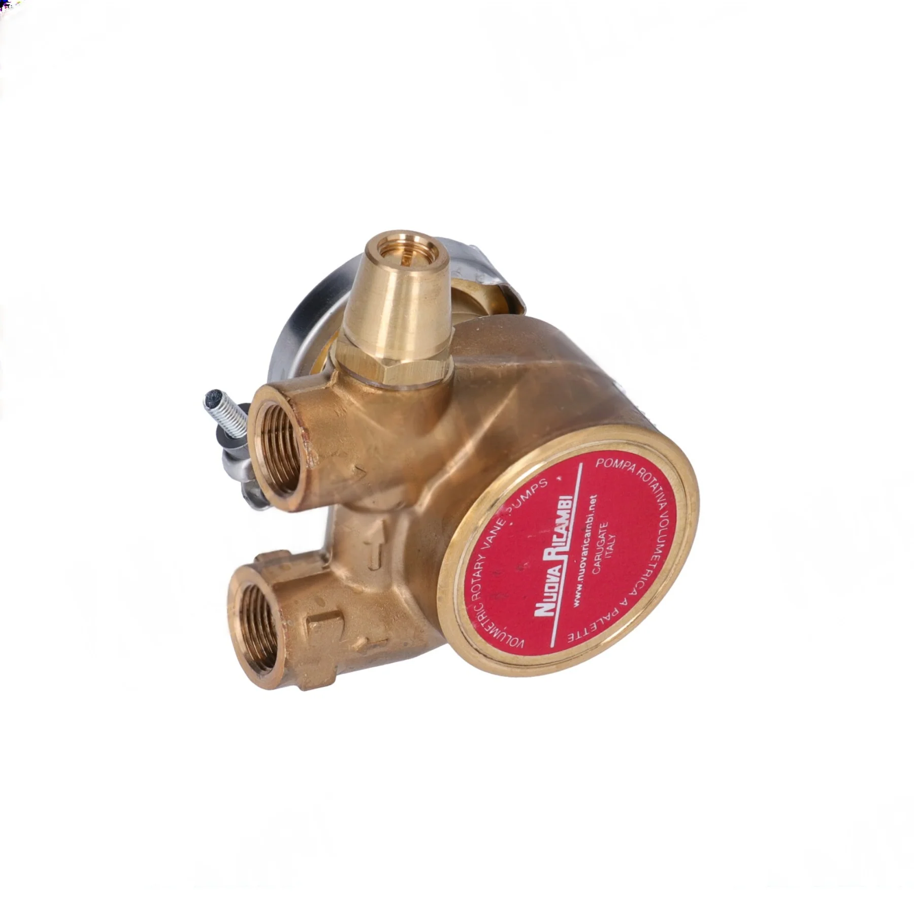 Nuert Rotary Vane Water Pump (50L/h) - Image 2